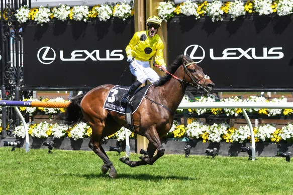 Melbourne Autumn Carnival Ultimate Guide